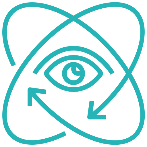 Vision 1
